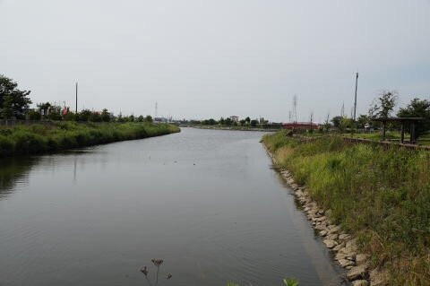 Mitsumata Pond Park-弥富市必去景点
