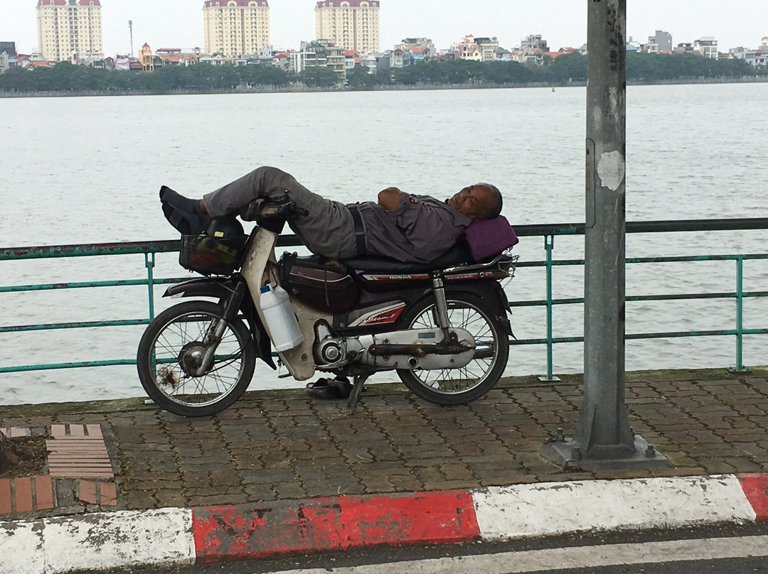 The Hanoi Bicycle Collective-河内必去景点