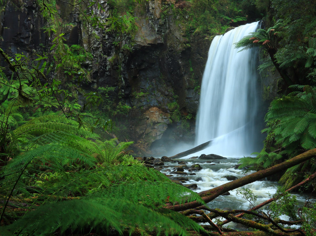 Hopetoun Falls景点图片