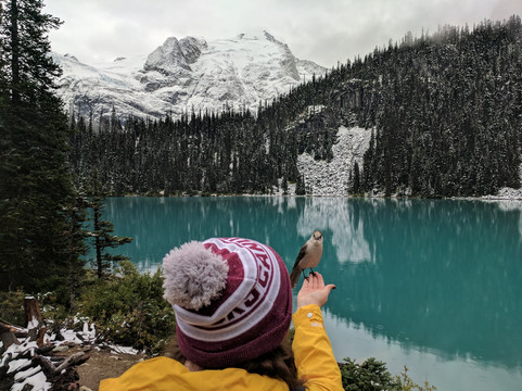 Nature Photo Hikes-温哥华必去景点