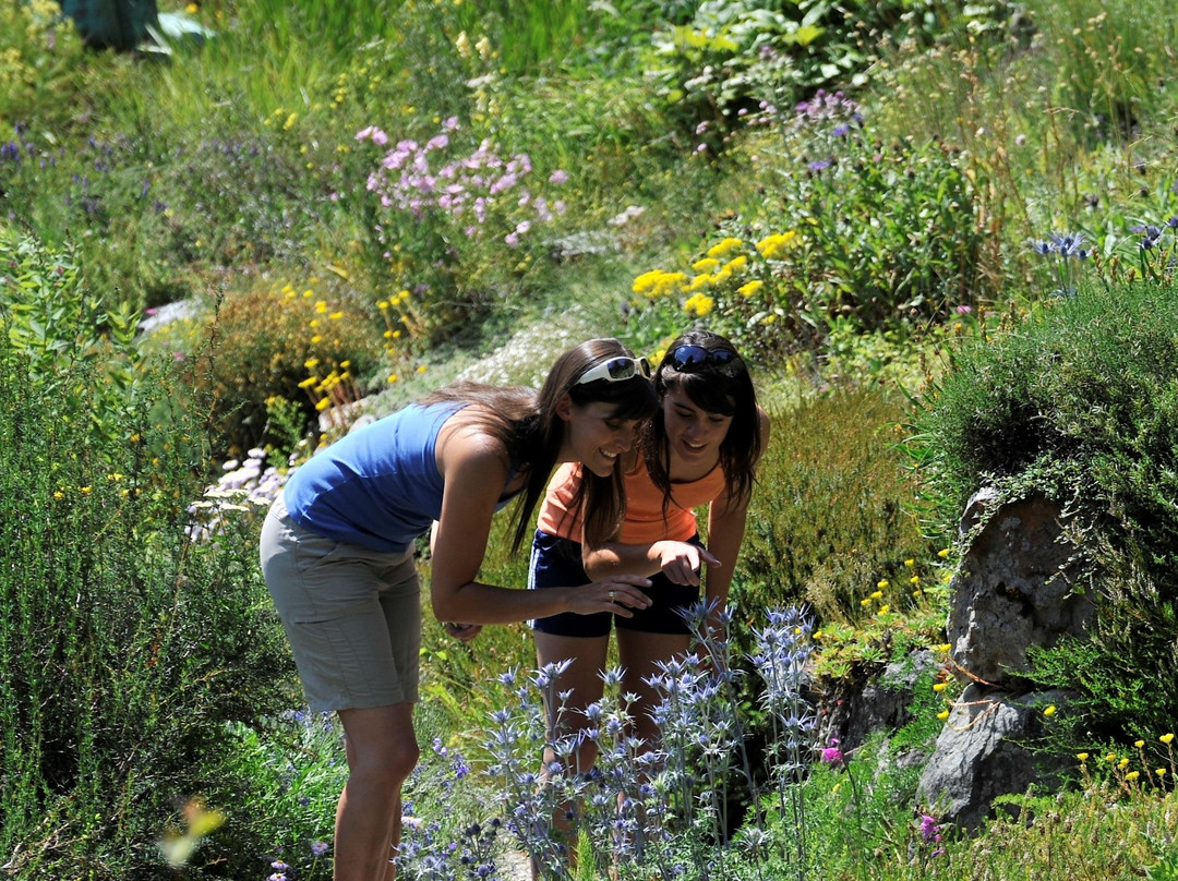 Flore-Alpe Alpine Botanical Garden-Champex必去景点