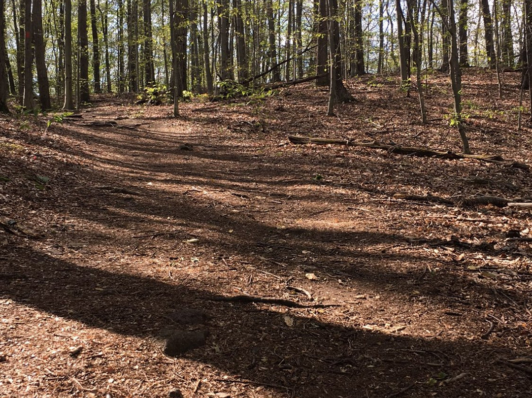 The Notch-艾姆赫斯特必去景点