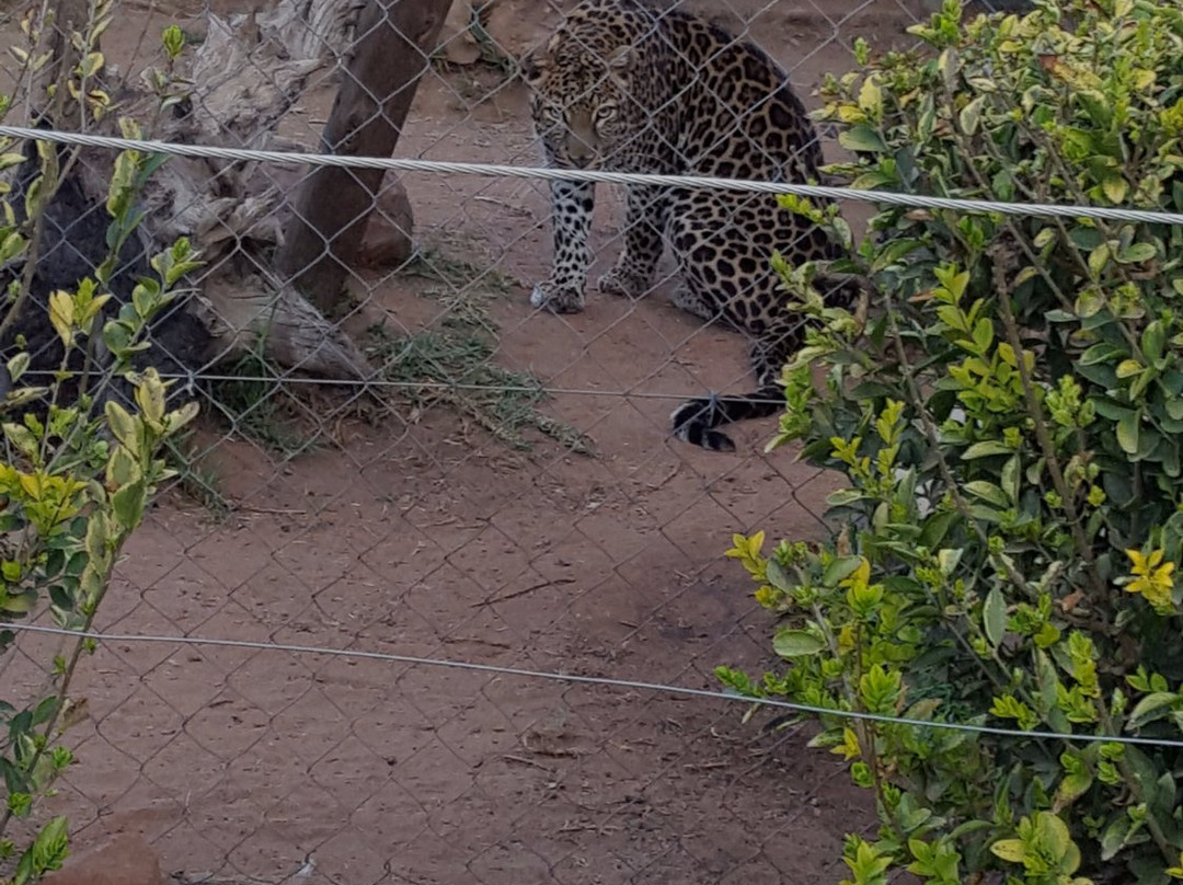 Loebies Gasteplaas-贝拉贝拉必去景点