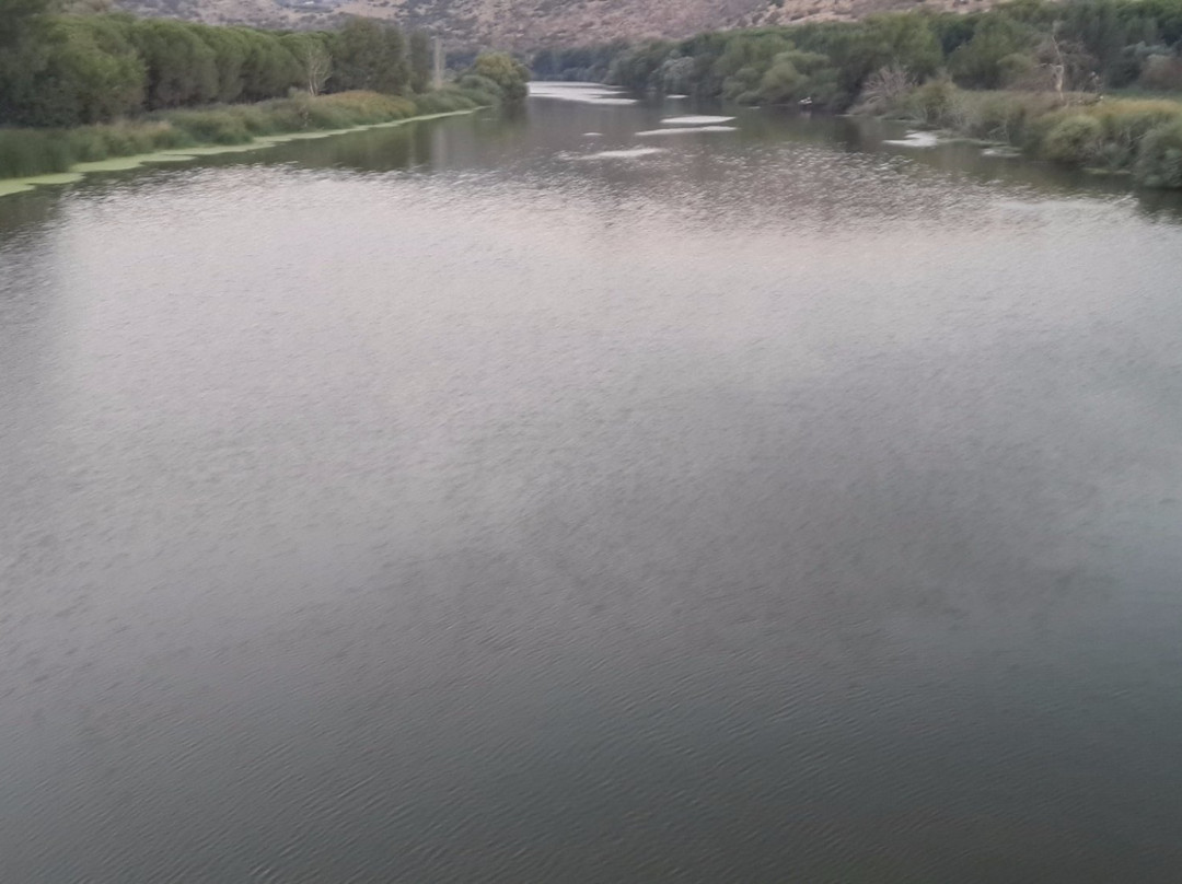 Golpark Menemen-梅德宁必去景点