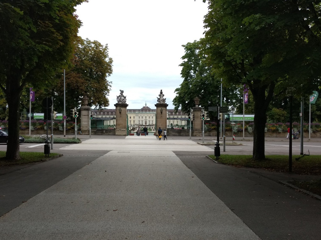 Baerenwiese Park景点图片
