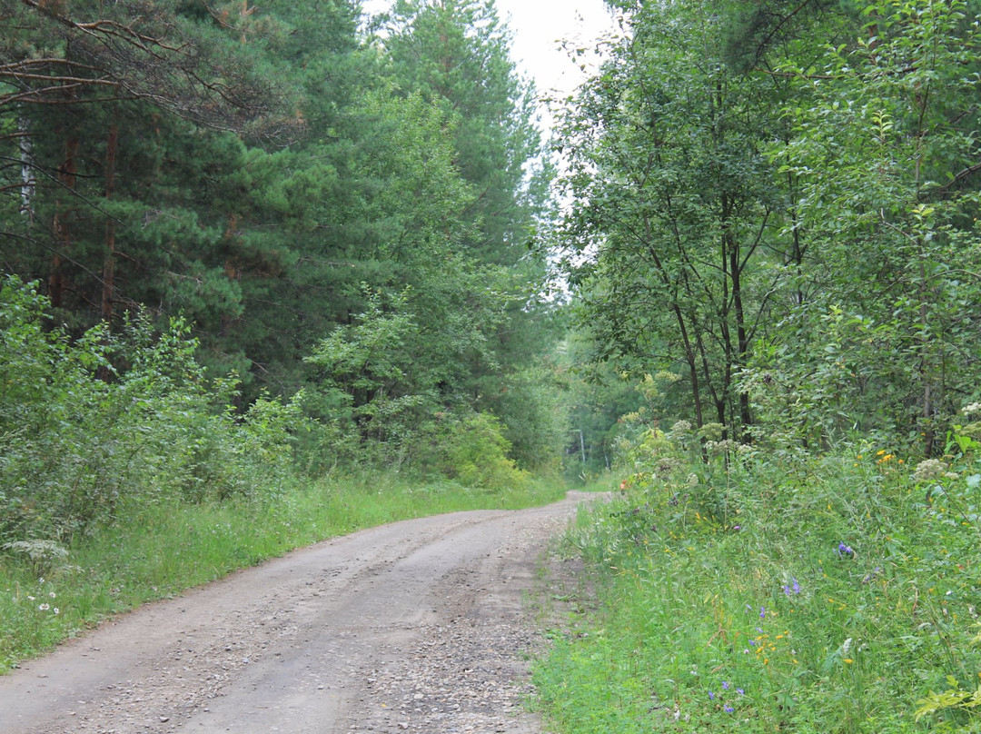 Umreva旅游攻略图片