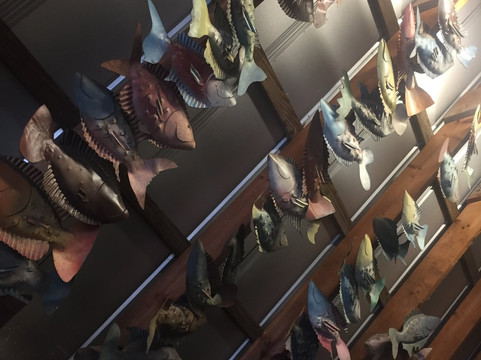 The Iron Fish Gallery-Daufuskie Island必去景点