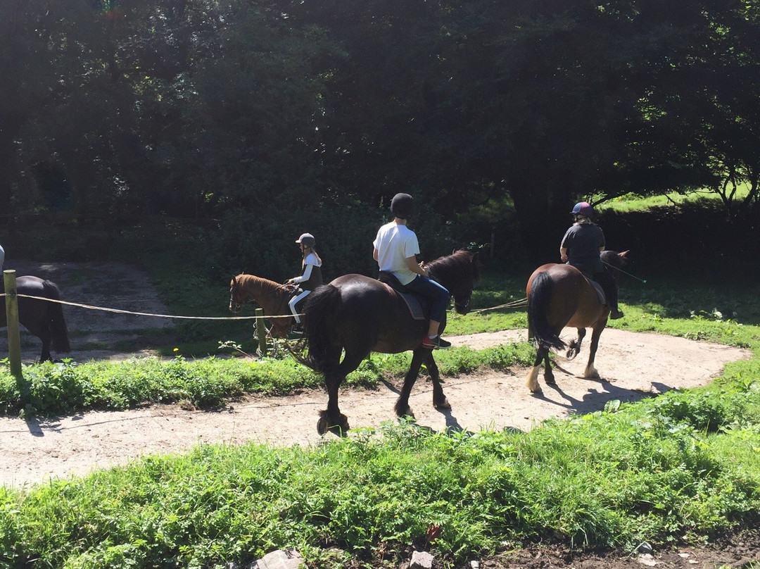 Outovercott Riding Stables景点图片