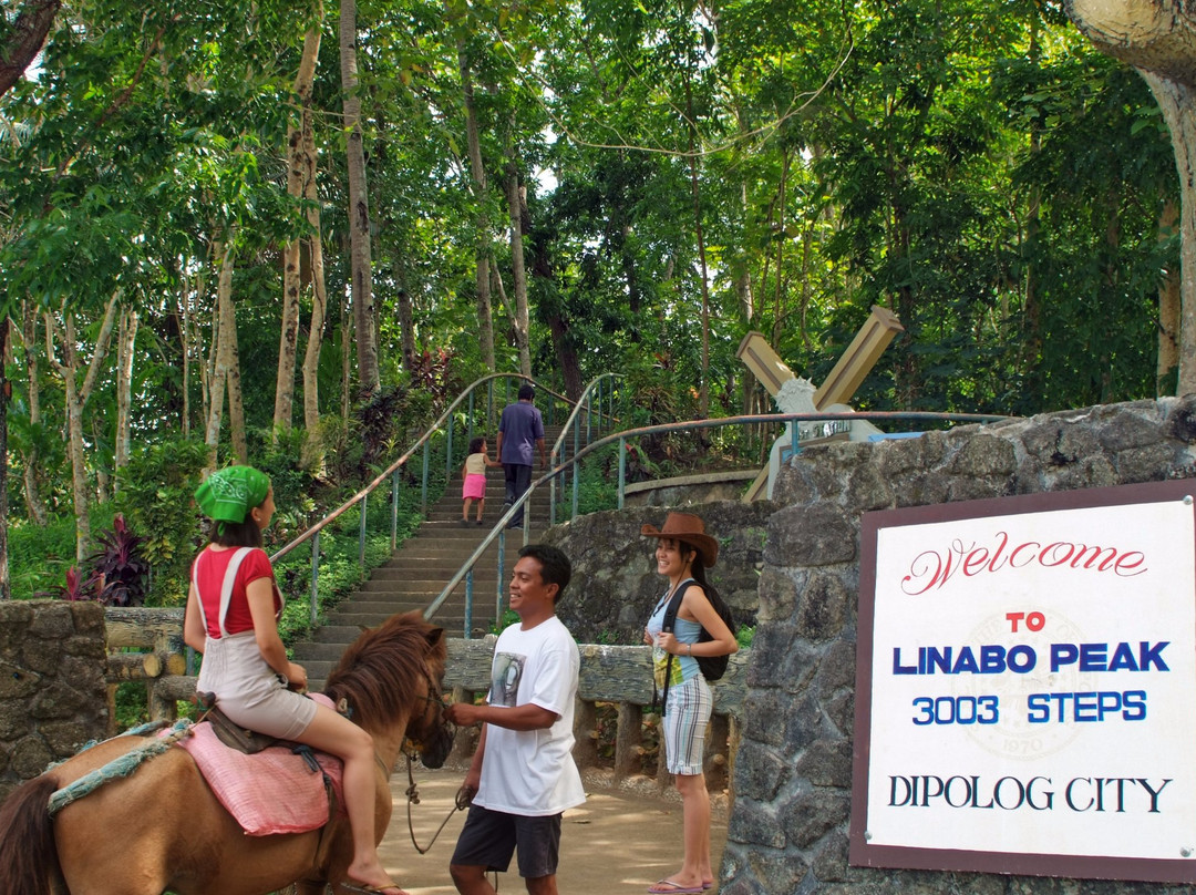 3003 Steps to Linabo Peak-Dipolog必去景点