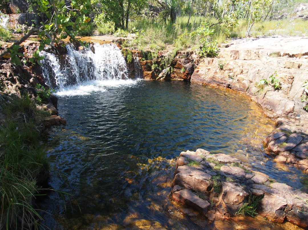 Tjaetaba Falls-Litchfield National Park必去景点