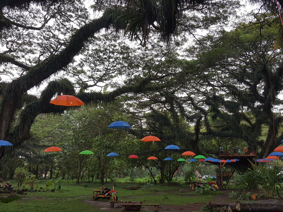 De Djawatan Forest-巴纽旺宣必去景点