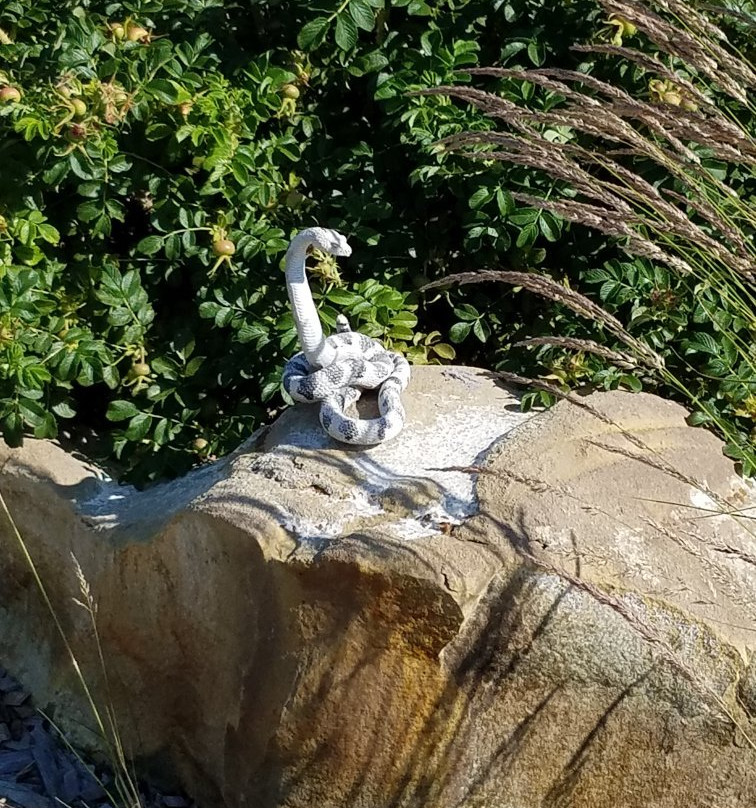 Centennial Park-Buffalo必去景点