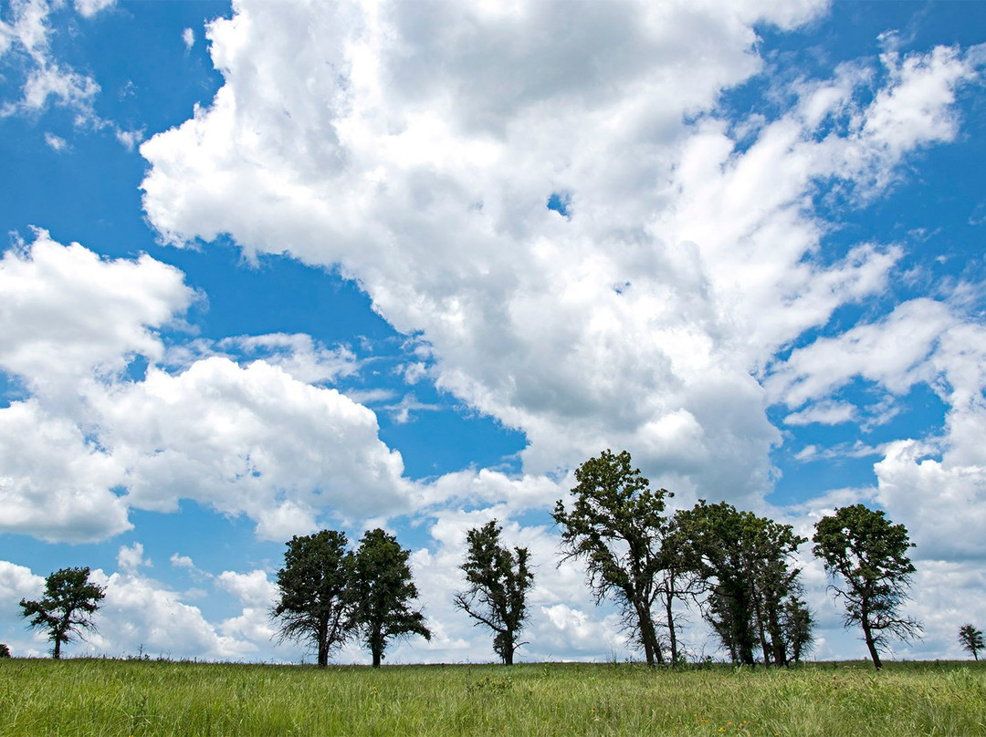 Joseph H. Williams Tallgrass Prairie Preserve-Pawhuska必去景点