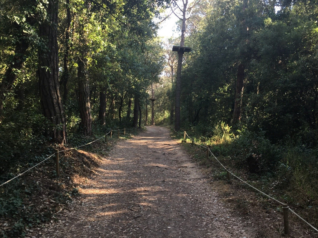 El Bosc Vertical景点图片