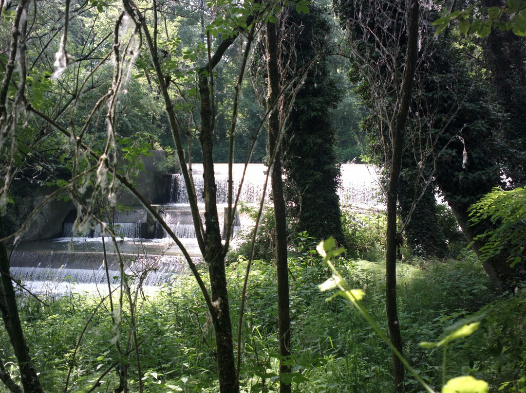 Parco delle Vincellate景点图片