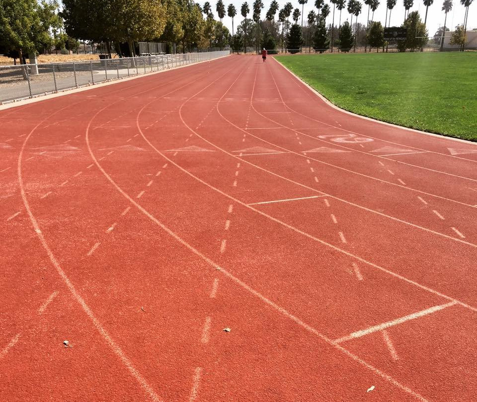 Al Patch Park-瓦卡维尔必去景点