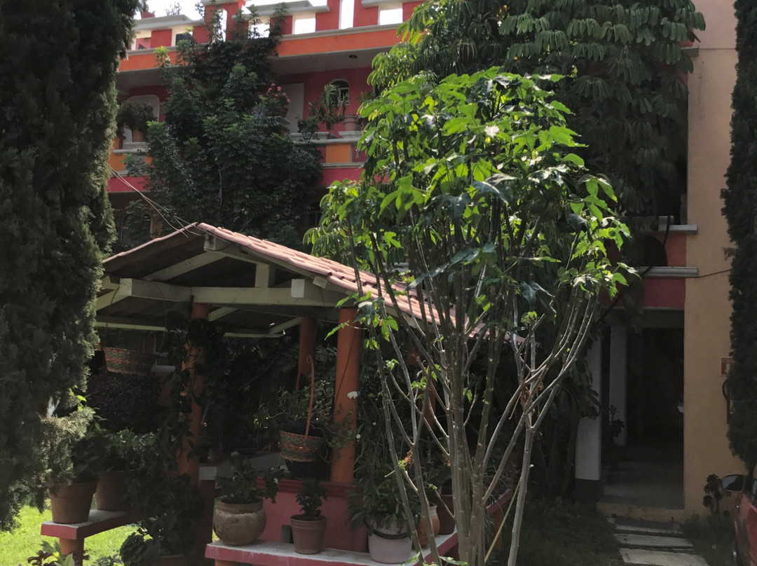 Hotel Posada Tolteca主图