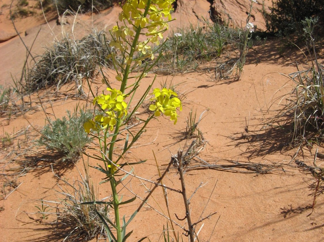 Edmaiers Secret-比格沃特必去景点