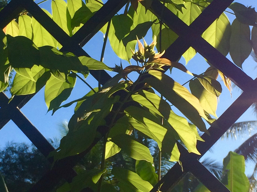 Coco Valley Garden Hotel主图