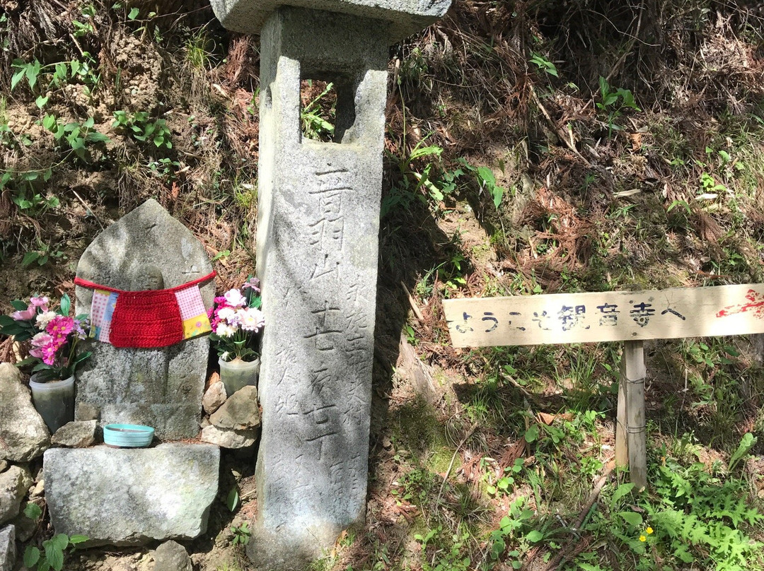 Otowasan Kannonji Temple-樱井市必去景点