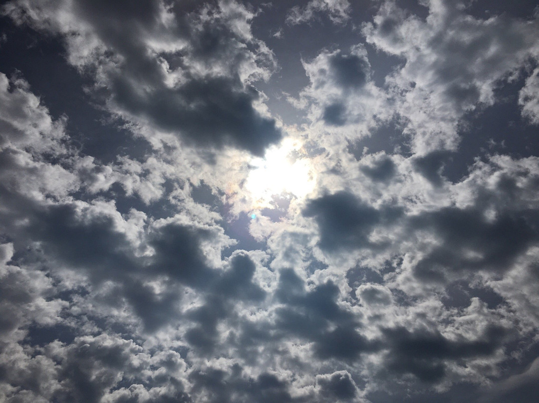 Kenosha Sculpture Walk-基诺沙必去景点