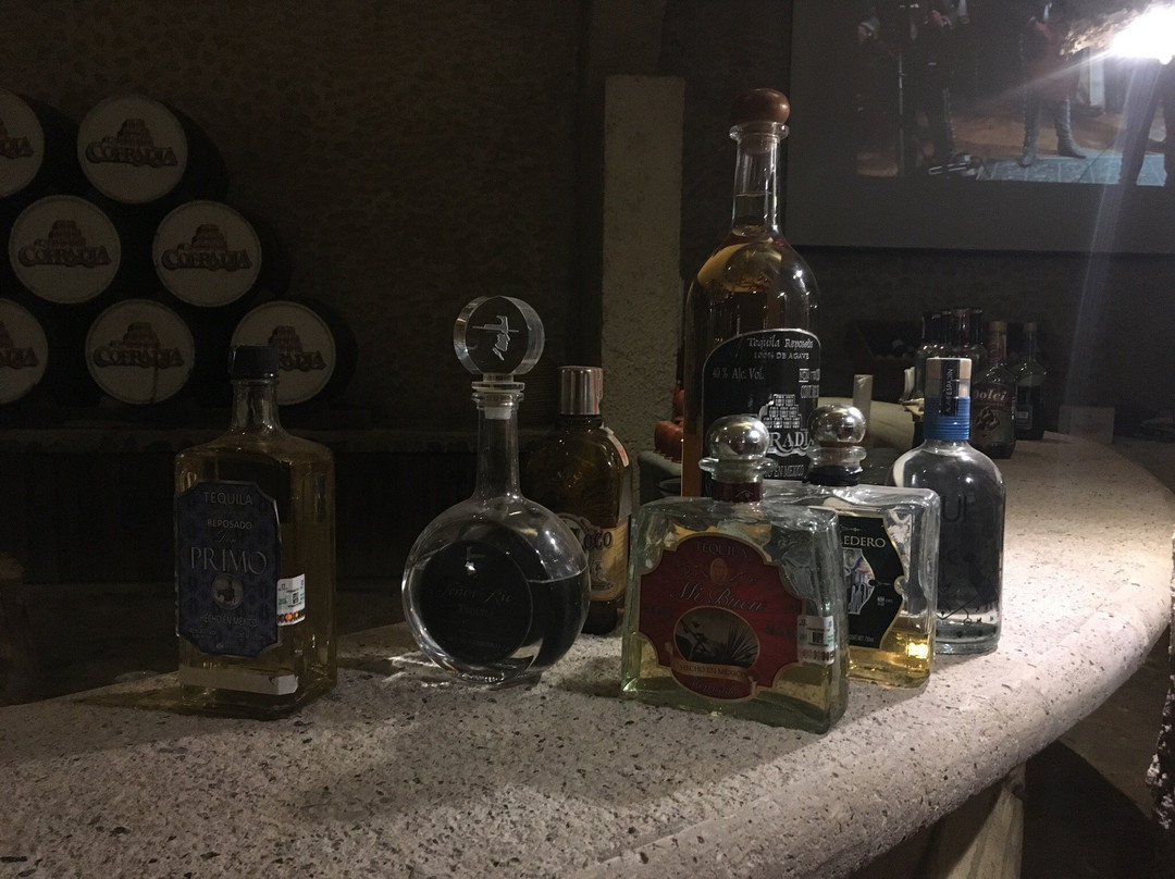 Cofradia Turistico 360-特基拉必去景点