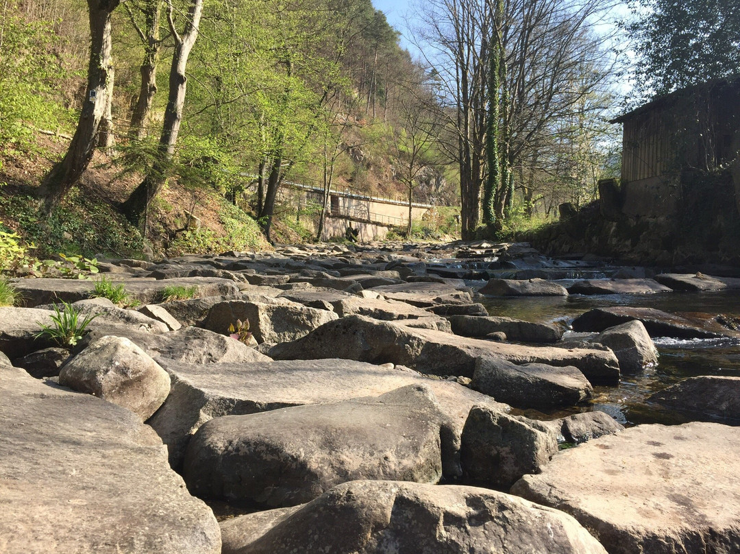 Genießerpfad - Peterstaler Schwarzwaldsteig-Bad Peterstal-Griesbach必去景点
