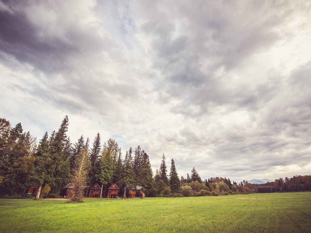Hidden Acres Farm and Treehouse Resort