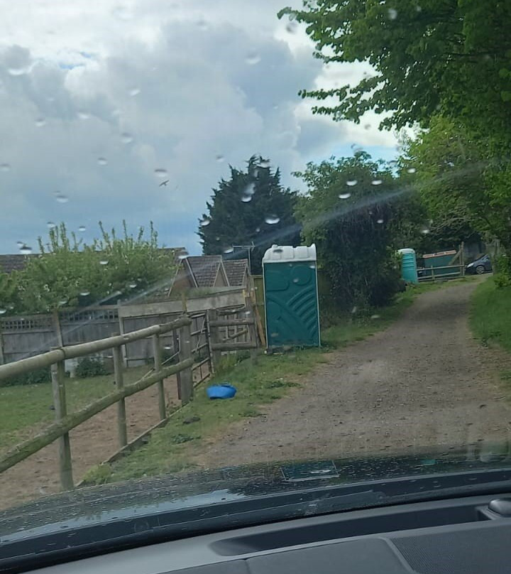 Walnut Tree  Glamping