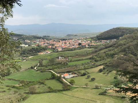 Borutta旅游攻略图片