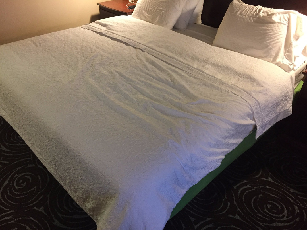 Perry酒店住宿-佩利希尔顿恒庭酒店