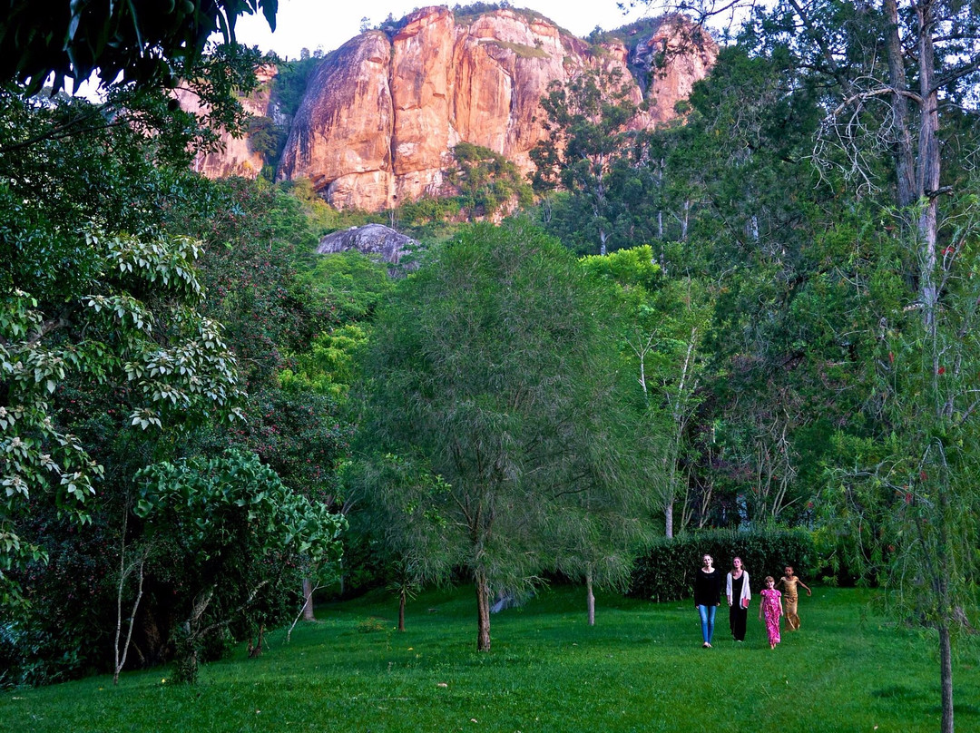 Maweni Farm