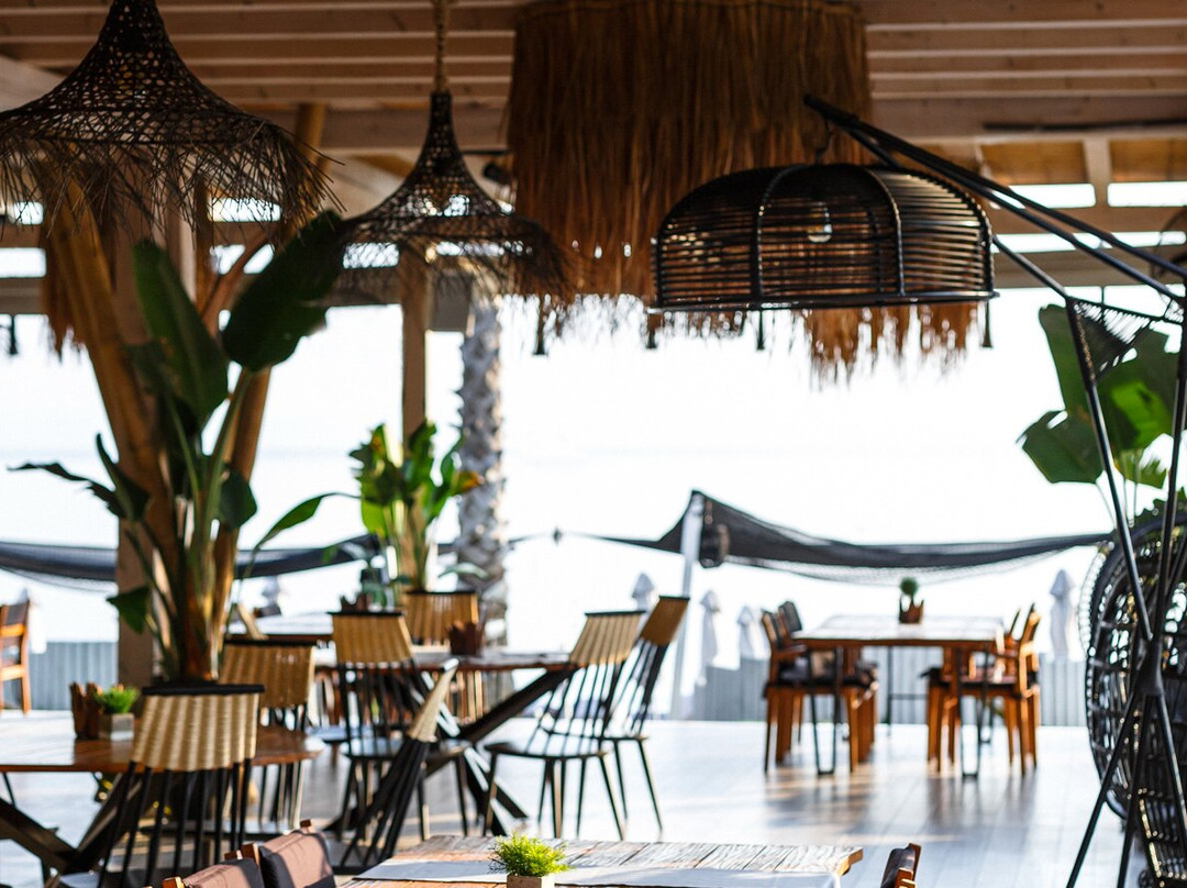Canela Restaurant by Blue Carpet