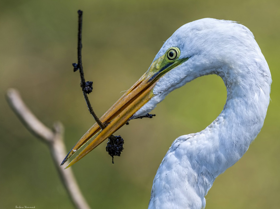Cole Watkins Tours-Evans必去景点