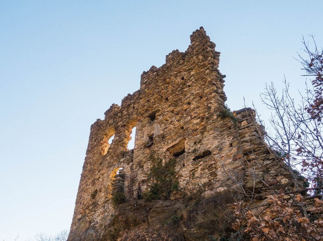 Castello di Cesnola景点图片