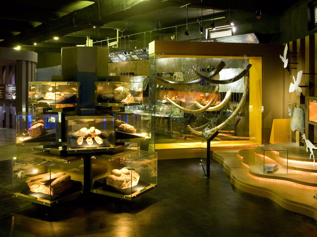 南杨州市旅游景点-Woo Seok Heon Natural History Museum