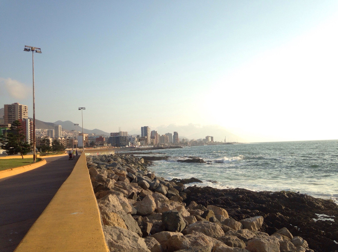 Paseo del Mar Antofagasta景点图片