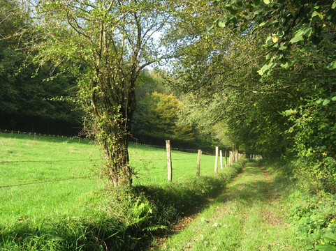 Saint-Simeon旅游攻略图片