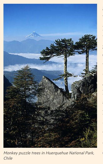 Arboretum at Haverford College-Haverford必去景点