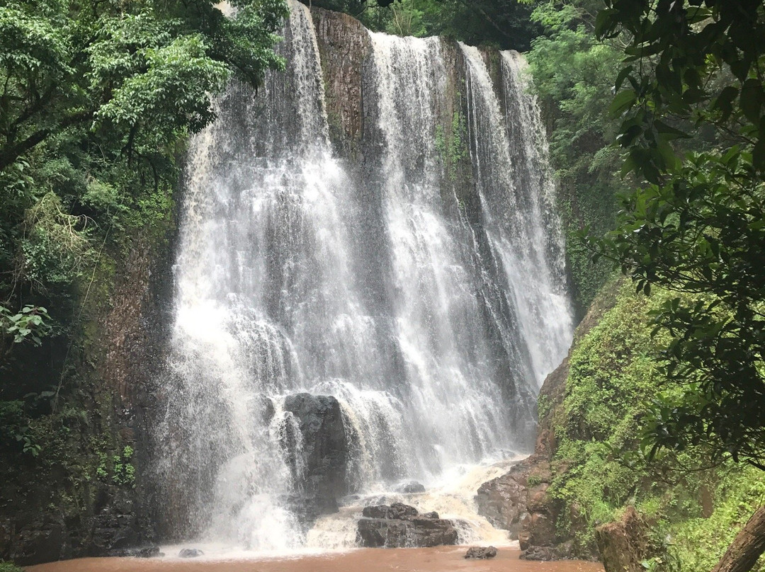 Cachoeira Olivo景点图片
