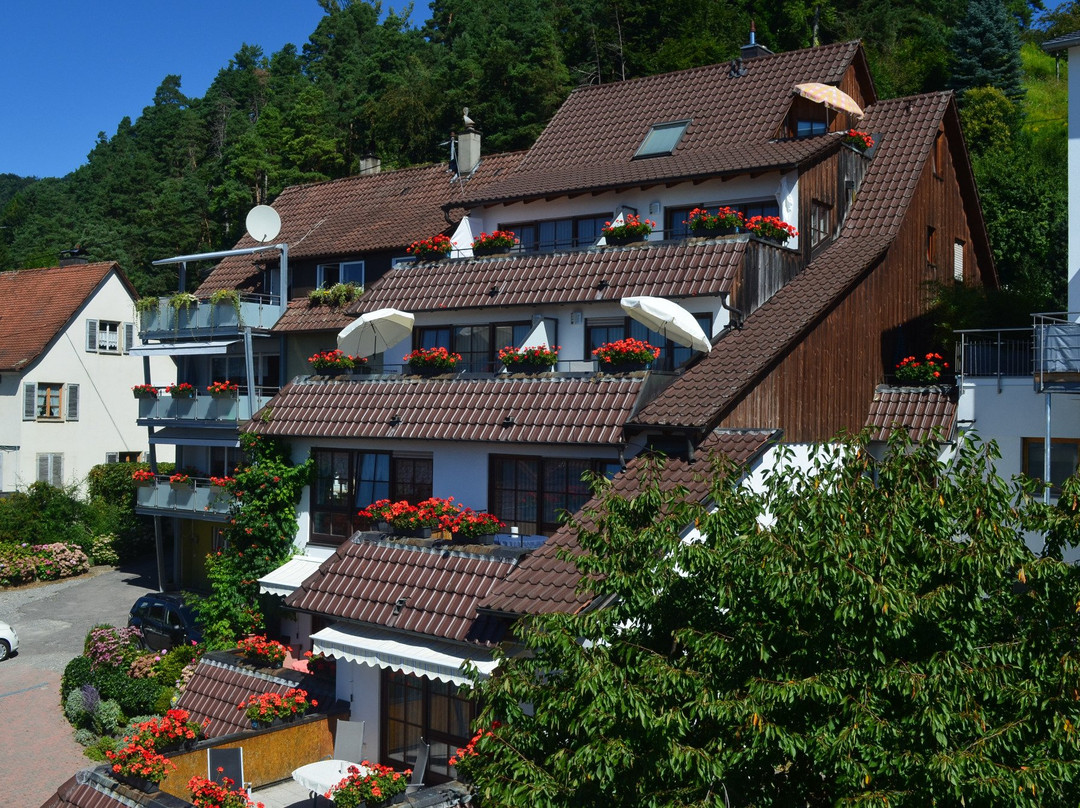 Bodman-Ludwigshafen酒店住宿-Pension Regenscheit