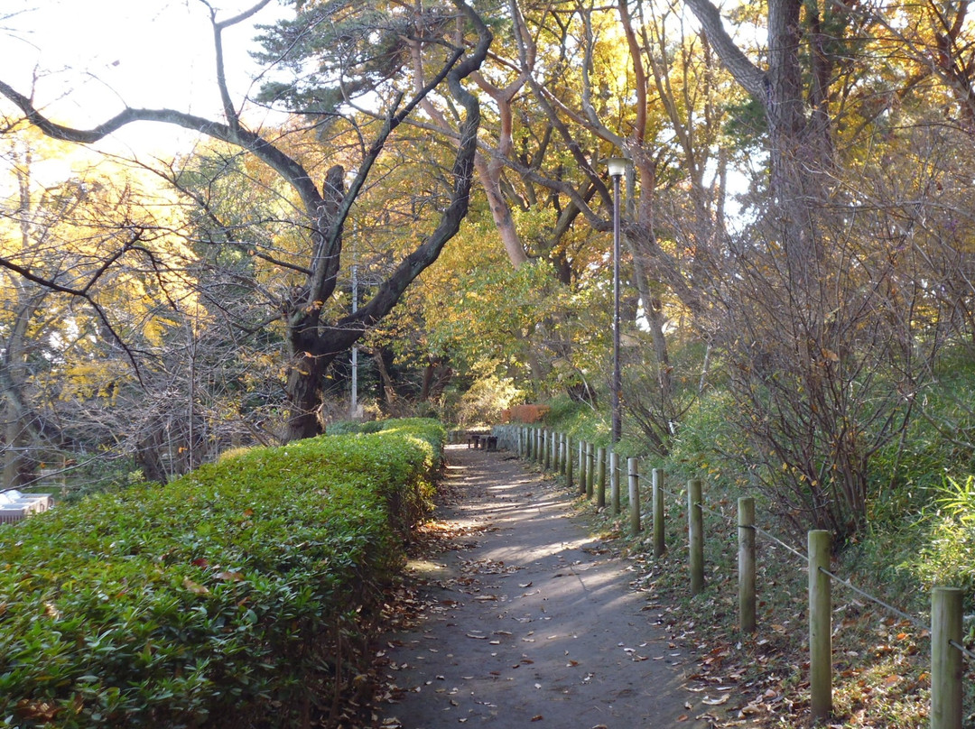 大田区旅游攻略图片