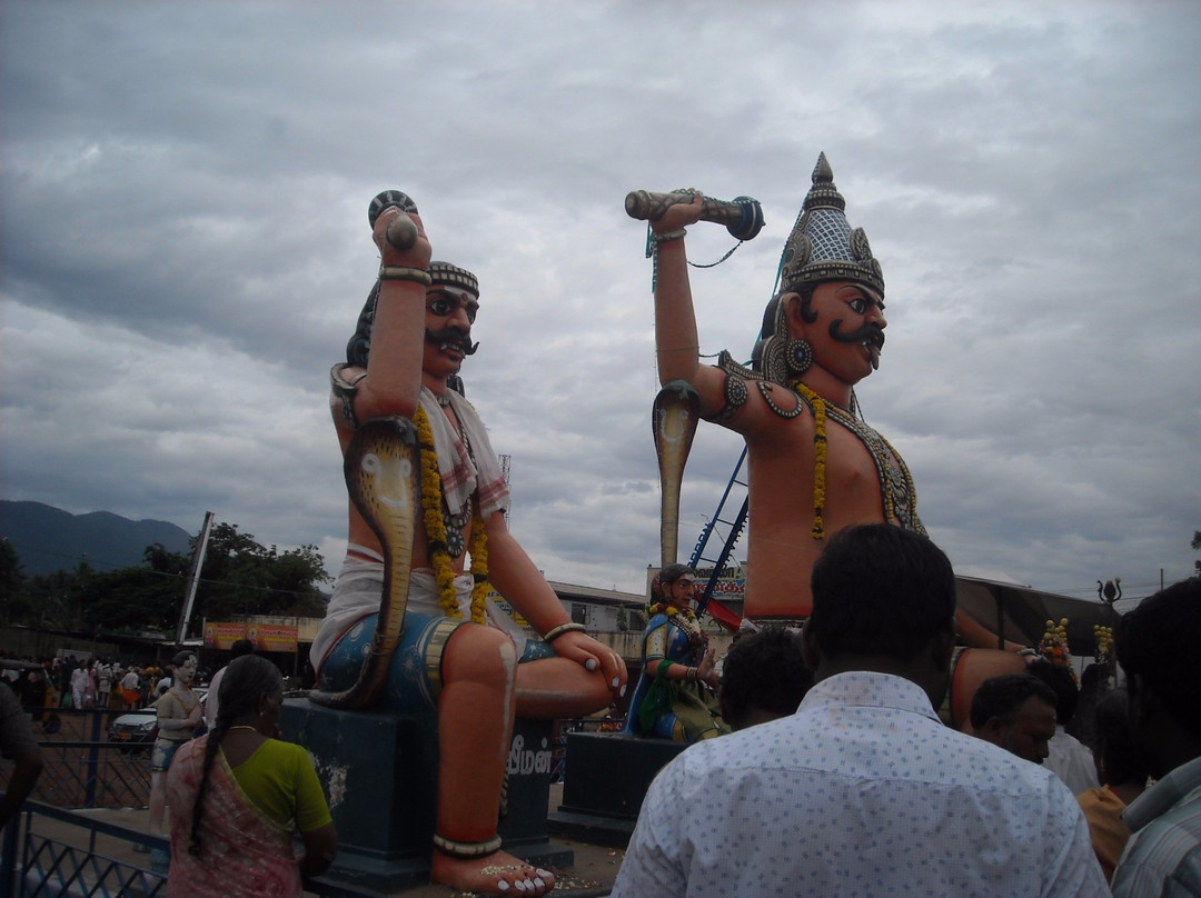 Vanabathrakali Amman Kovil景点图片