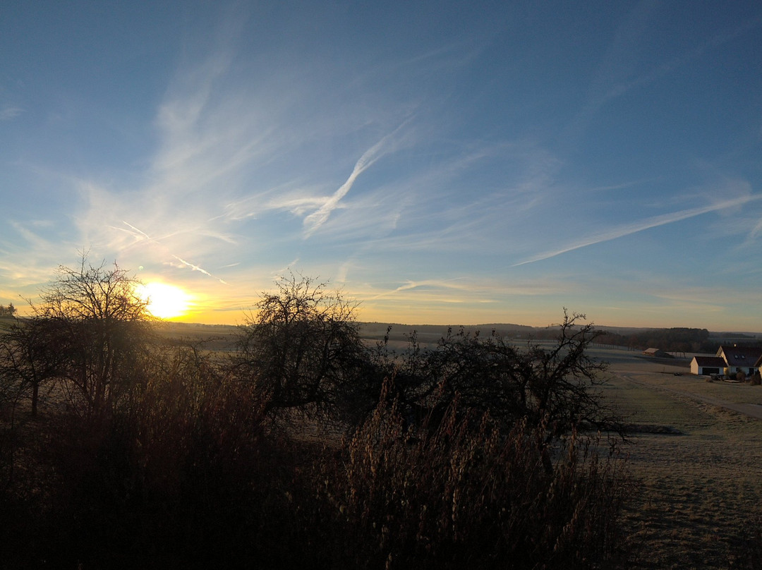 Landgasthof Hotel Hirsch im Grunen主图