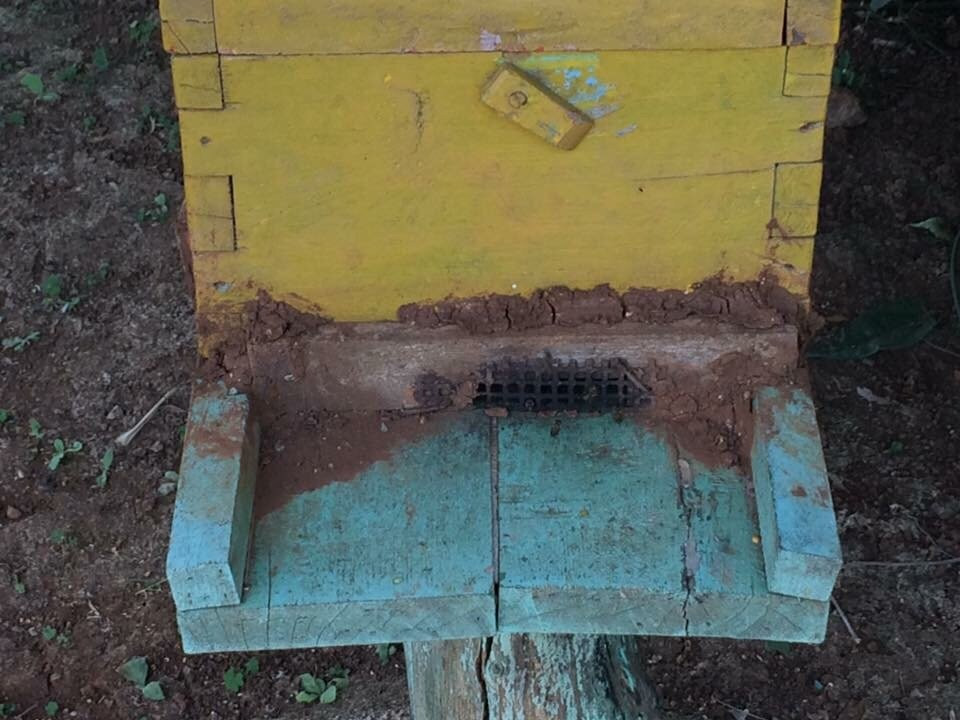 Honey Bees Centre-Saputara必去景点