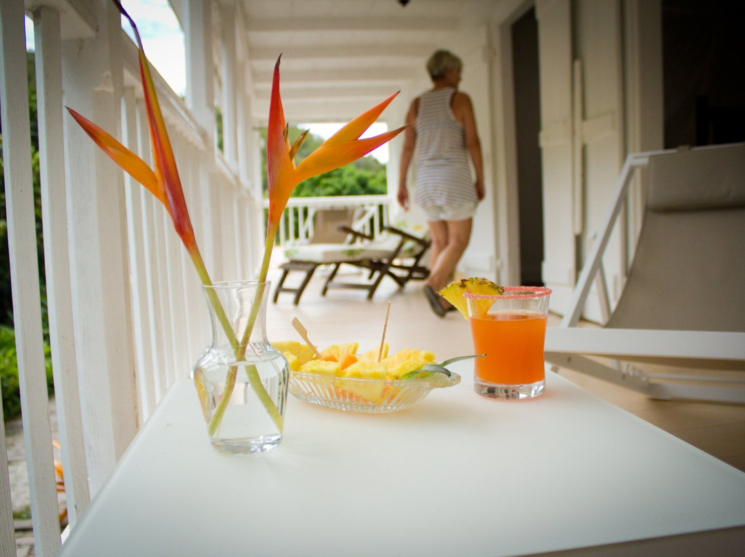 Habitation l'Oiseau主图