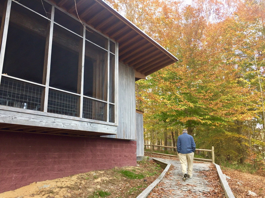 Merchants Millpond State Park-Gatesville必去景点