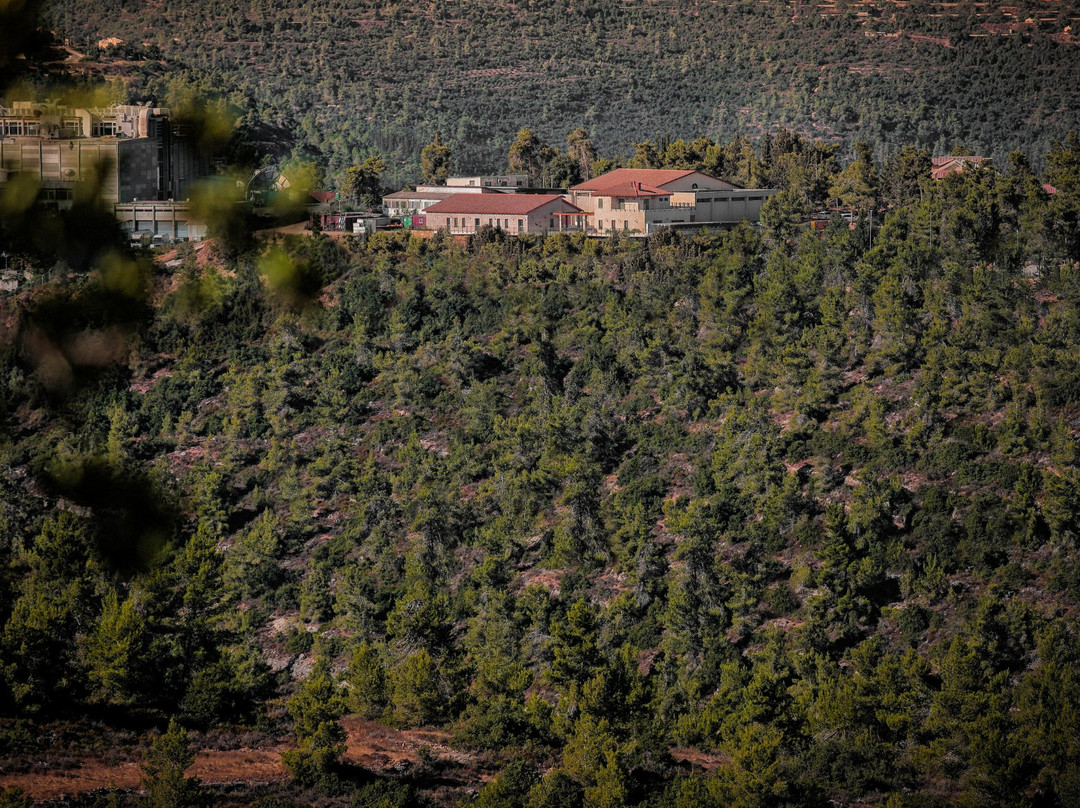Domaine du Castel Winery-Yad Hashmona必去景点