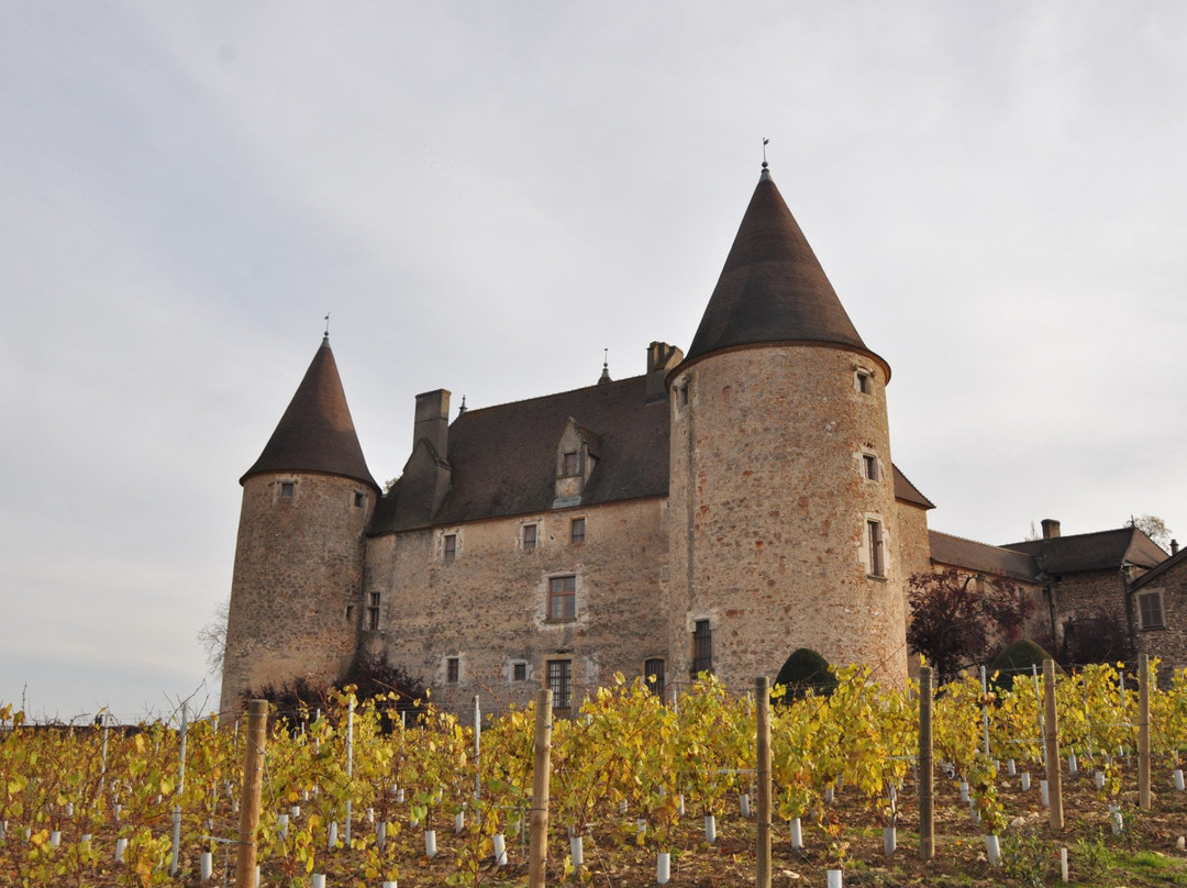 Château de Corcelles景点图片