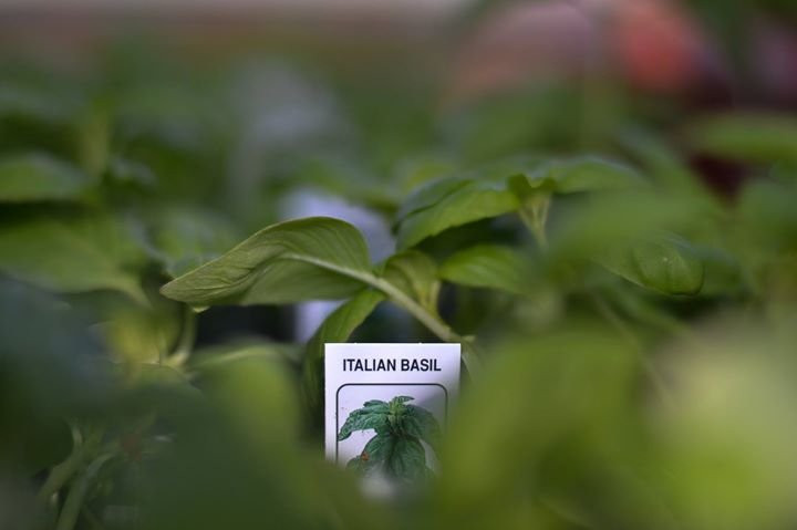 Lee and Maria's-Kingsville必去景点